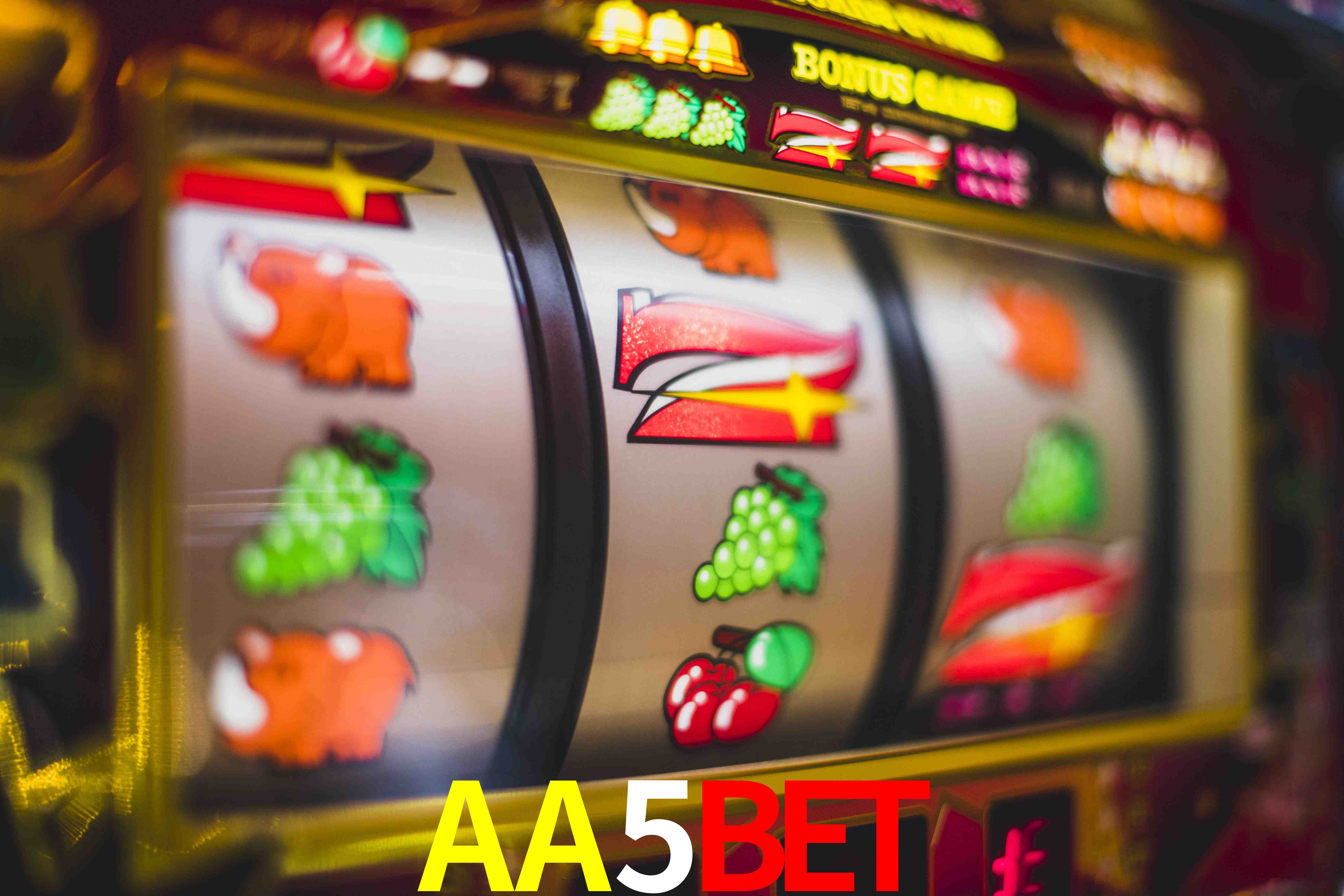 Experiência VIP AA5BET